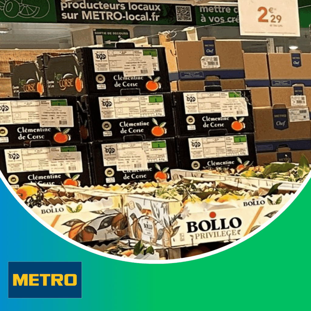 Metro-France_Site-web-